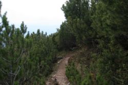 2011-04-24_Regina-F-Rau_Brunnstein-Spitze (288).JPG